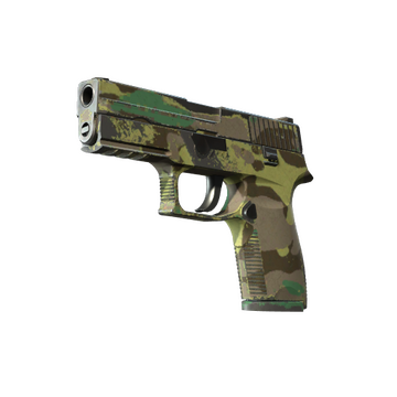 P250 | Boreal Forest