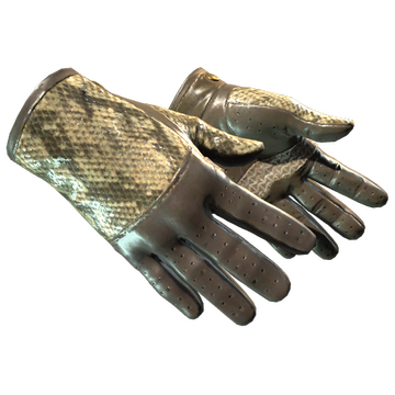 Driver Gloves | Diamondback