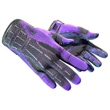 Sport Gloves | Pandora's Box