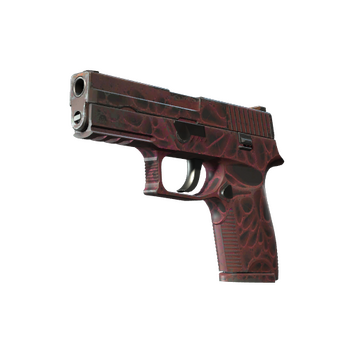 P250 | Contaminant