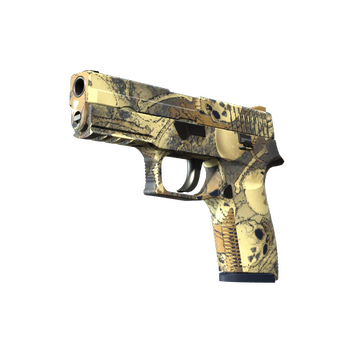P250 | Contamination