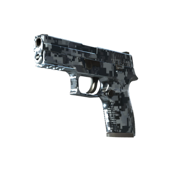 P250 | Steel Disruption