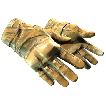 Moto Gloves | Transport