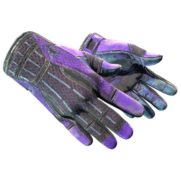 Sport Gloves | Pandora's Box