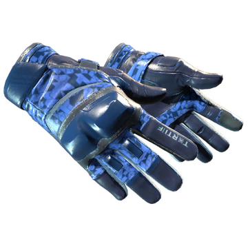 Moto Gloves | Polygon
