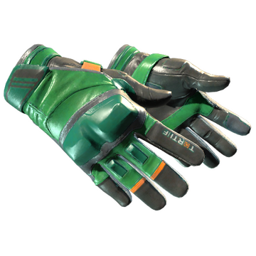 Moto Gloves | Turtle