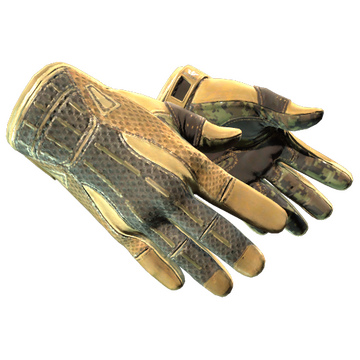 Sport Gloves | Arid