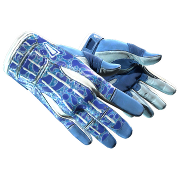 Sport Gloves | Amphibious