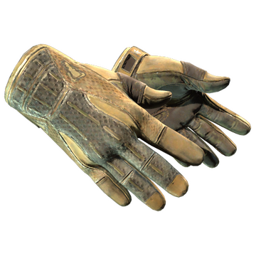Sport Gloves | Arid