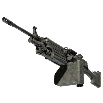 M249 | Midnight Palm