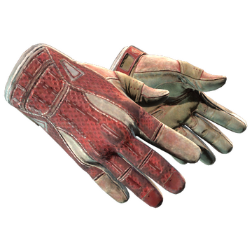 Sport Gloves | Slingshot