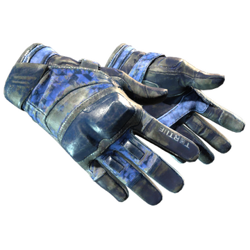 Moto Gloves | Polygon