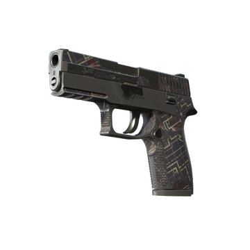 P250 | Facility Draft