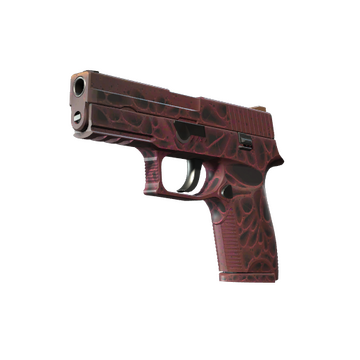 P250 | Contaminant