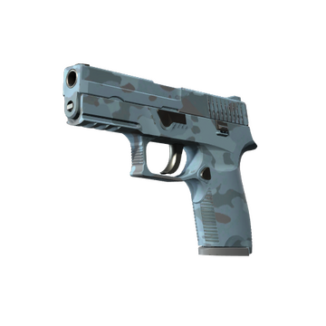 P250 | Forest Night