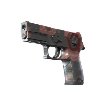 P250 | Constructivist