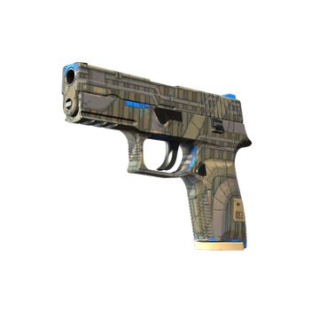 P250 | Exchanger
