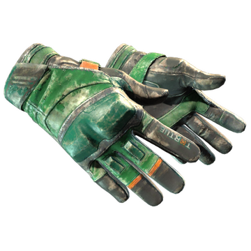 Moto Gloves | Turtle