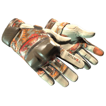 Moto Gloves | POW!