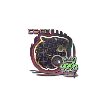 Sticker | FURIA (Holo) | 2020 RMR